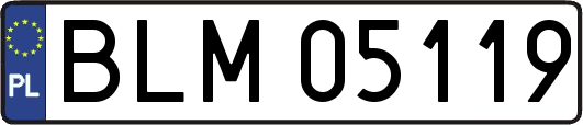 BLM05119