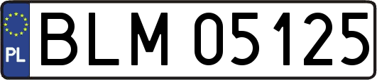 BLM05125