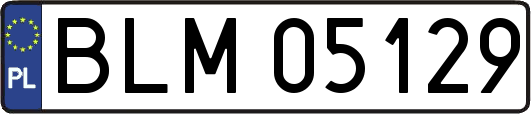 BLM05129