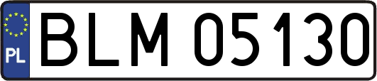 BLM05130