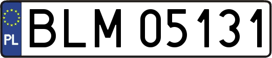 BLM05131