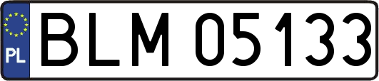 BLM05133