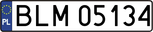 BLM05134