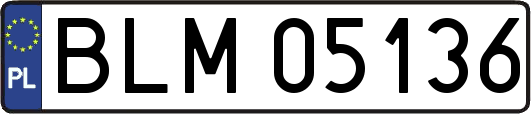 BLM05136
