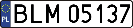 BLM05137