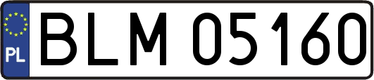 BLM05160