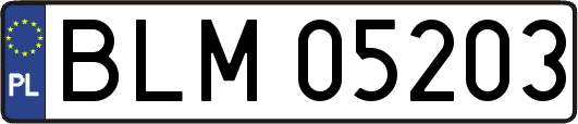BLM05203