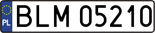 BLM05210