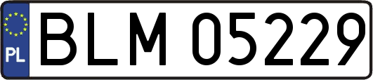 BLM05229
