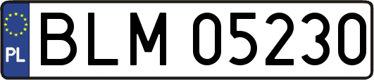 BLM05230