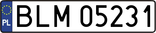 BLM05231