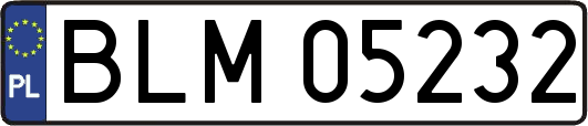 BLM05232
