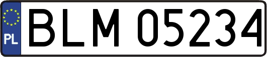 BLM05234