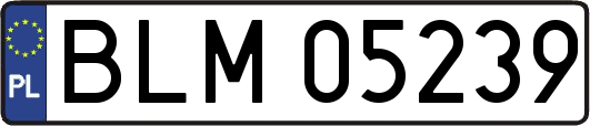 BLM05239