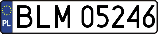 BLM05246