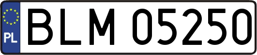 BLM05250