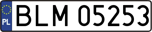 BLM05253