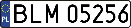 BLM05256