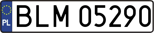 BLM05290