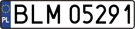 BLM05291
