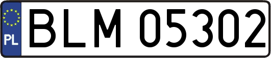 BLM05302