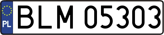BLM05303