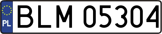 BLM05304