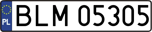 BLM05305