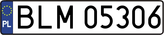 BLM05306