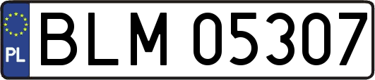 BLM05307