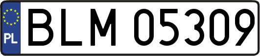 BLM05309