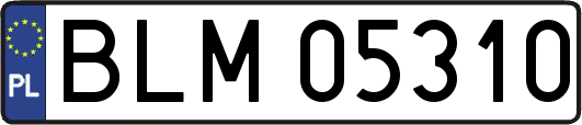 BLM05310