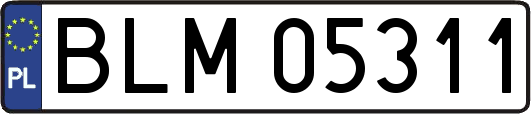 BLM05311