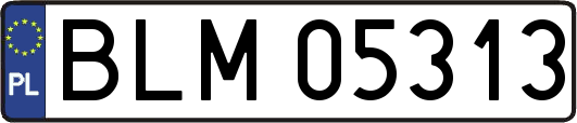 BLM05313