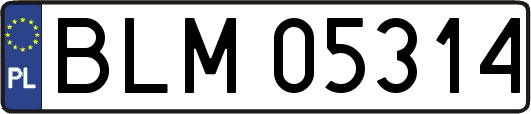 BLM05314