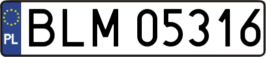 BLM05316