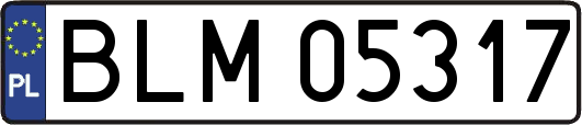 BLM05317