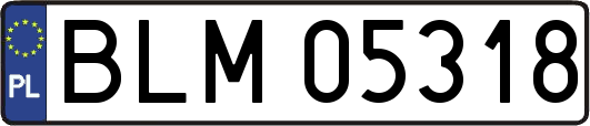 BLM05318