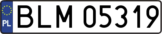 BLM05319