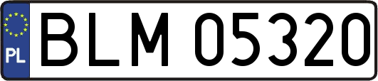 BLM05320