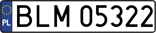 BLM05322