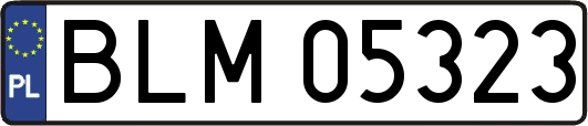 BLM05323