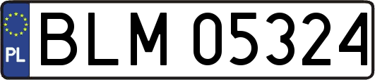 BLM05324