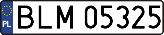 BLM05325