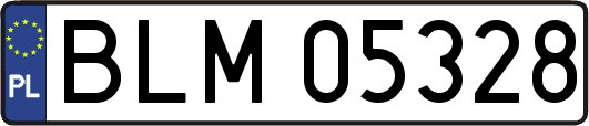 BLM05328