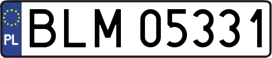 BLM05331