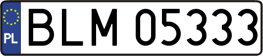 BLM05333