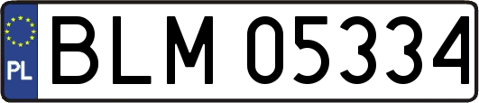 BLM05334