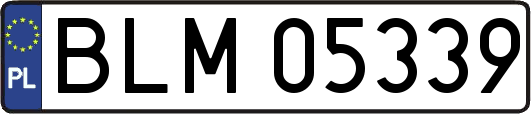 BLM05339