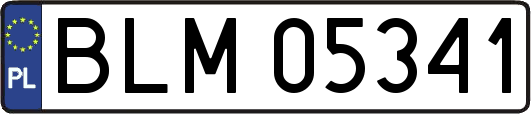 BLM05341